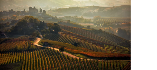LE LANGHE, ASTI, ALBA & ALESSANDRIA